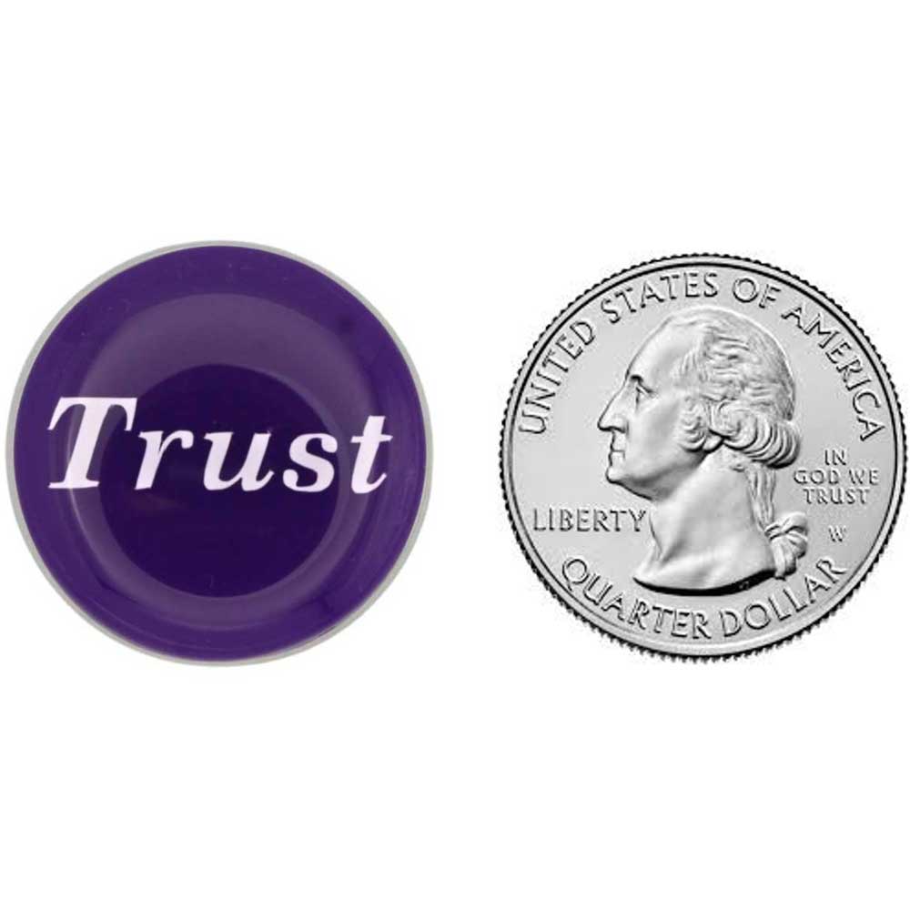 Round purple trust pin with US Quarter for comparison size - Lilylin Designs