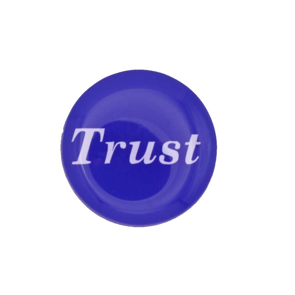 Round blue disc with "Trust" printed in white magnet - Lilylin Designs