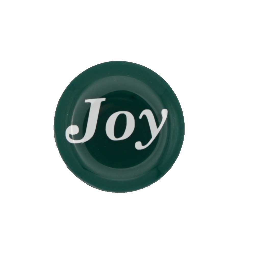 Round green disc with "Joy" printed in white magnet - Lilylin Designs