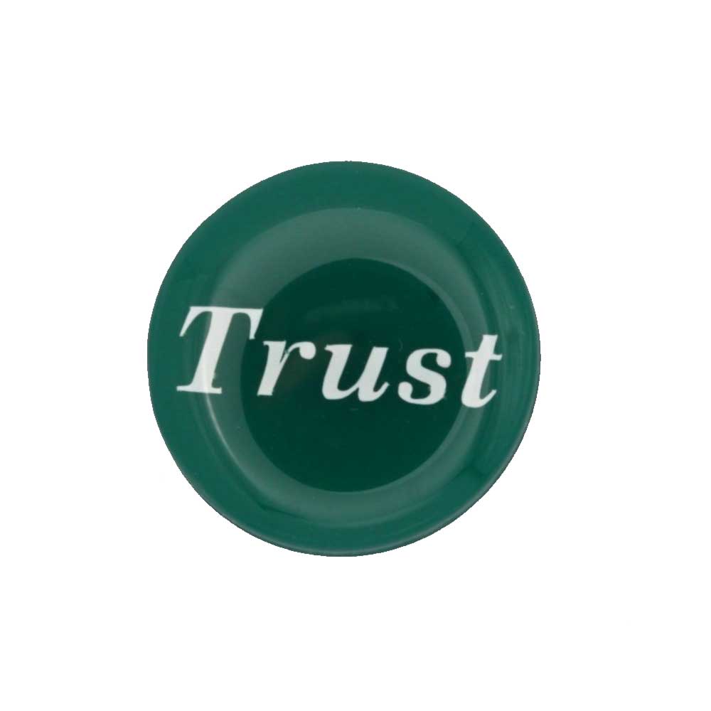 Round green disc with "Trust" printed in white magnet - Lilylin Designs