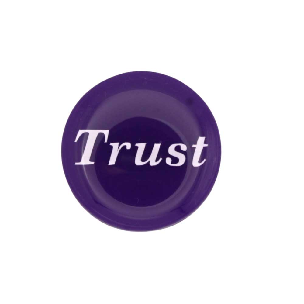 Round purple disc with "Trust" printed in white magnet - Lilylin Designs