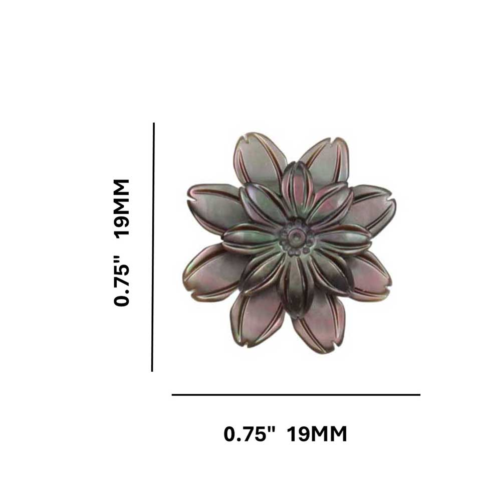 Dark Brown Shell Flower Clip Earring - SLE062C - Lilylin Designs